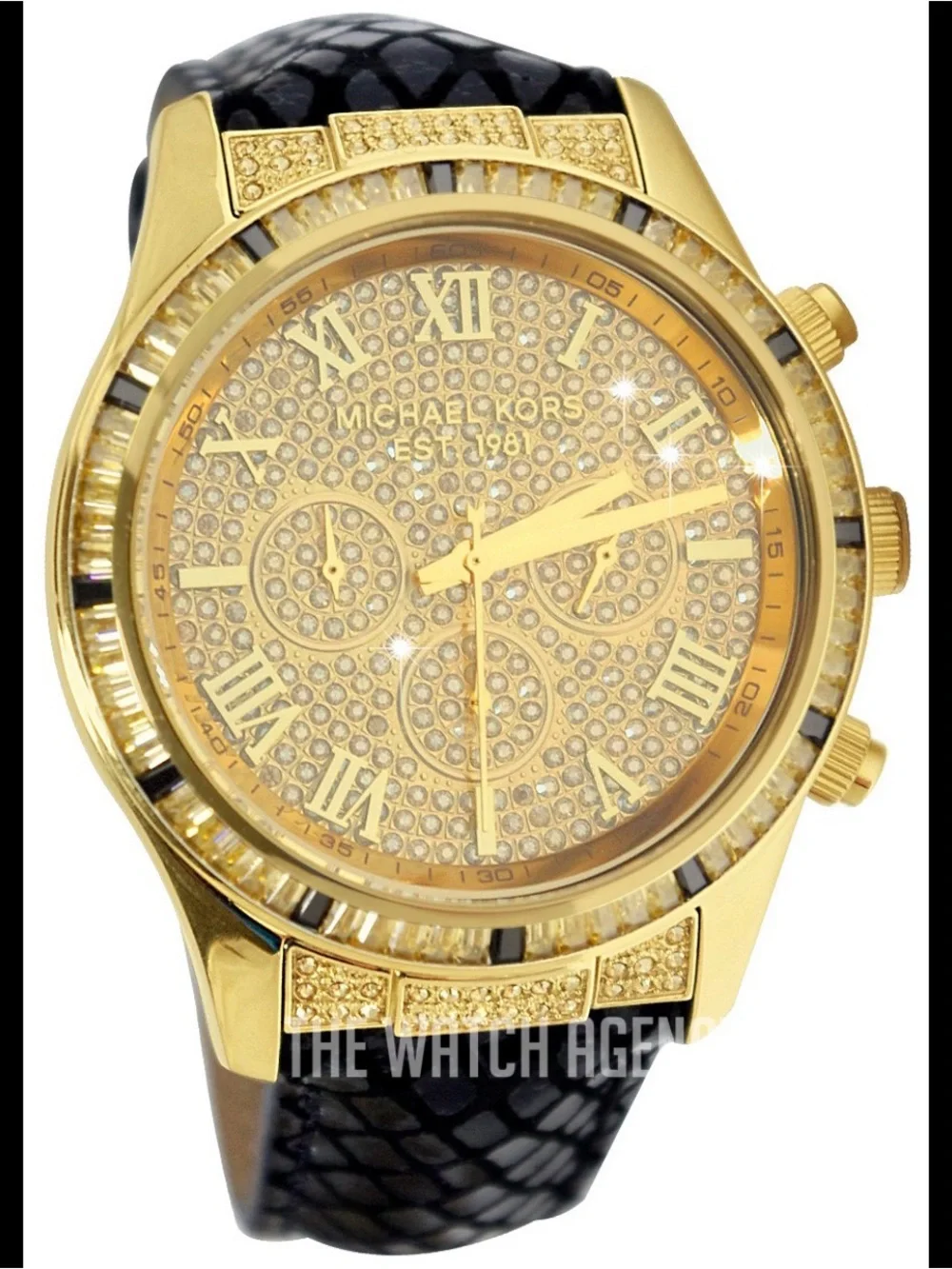 Watch Image Identification